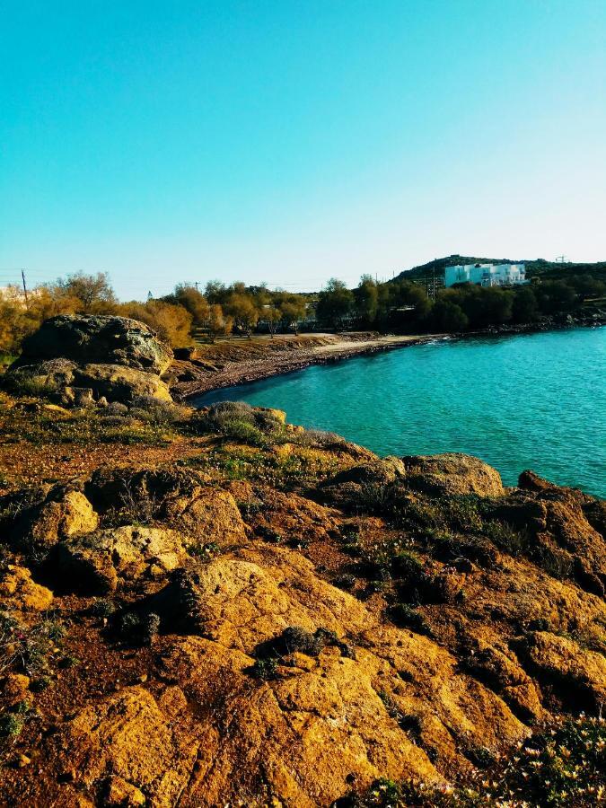 Villa Agapitos Стелида Экстерьер фото